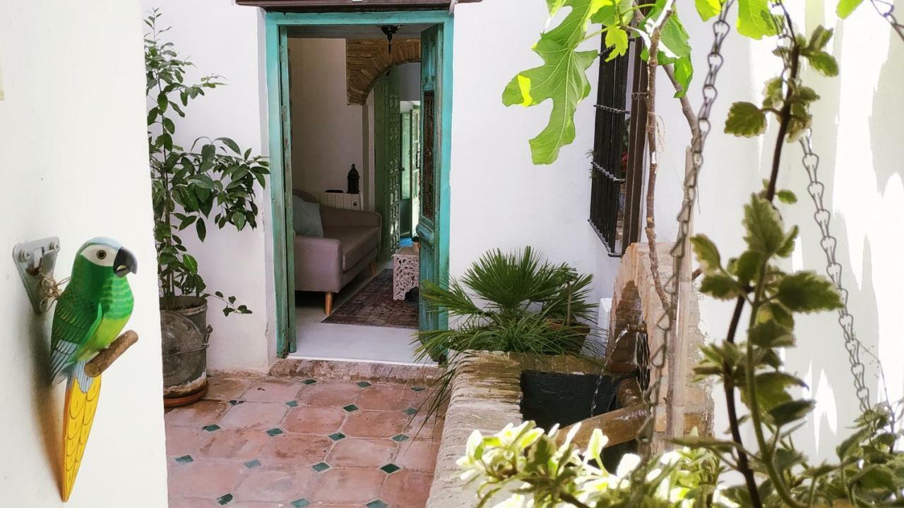 Riad Puertas Del Albaicin Granada Dış mekan fotoğraf